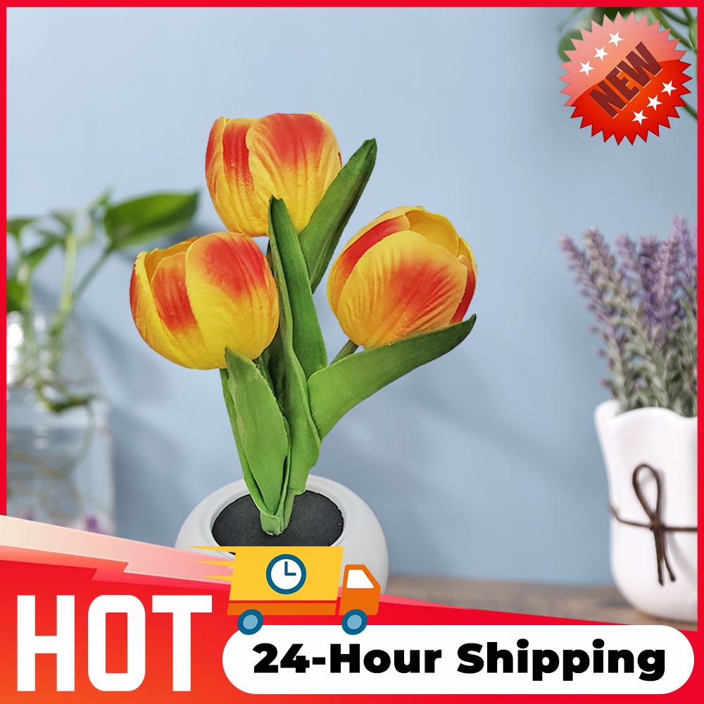 Lâmpada LED Tulipa Noturna Rom - Vase Decor avaliação e preço